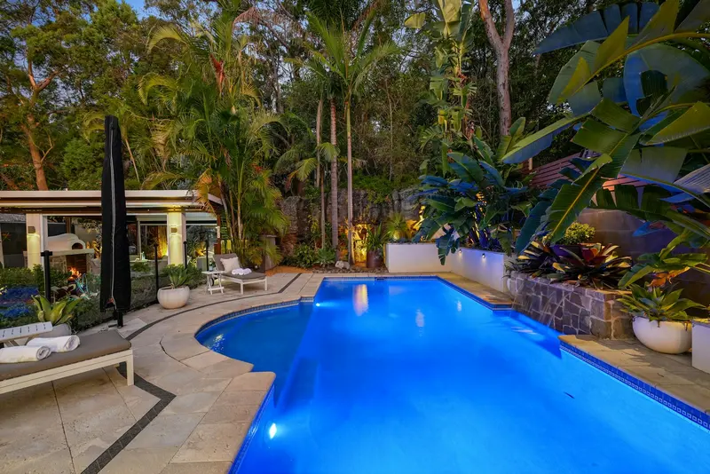 Piscina em meio a árvores e plantas